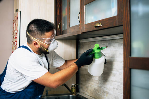 Best Pest Inspection Near Me  in Walnut Creek, CA