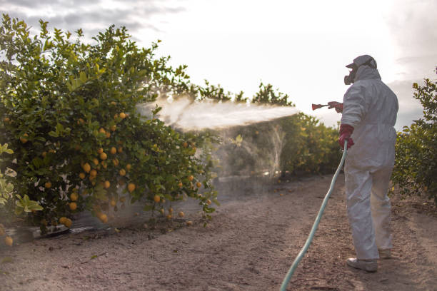 Pest Control for Restaurants in Walnut Creek, CA