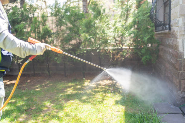 Best Best Pest Control Companies  in Walnut Creek, CA