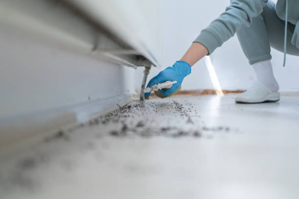 Best Pest Control Near Me in Walnut Creek, CA